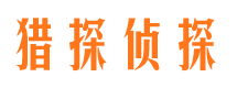 龙湖捉小三公司